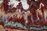 Polished Red Flame Agate Slab - Mexico #228104-1